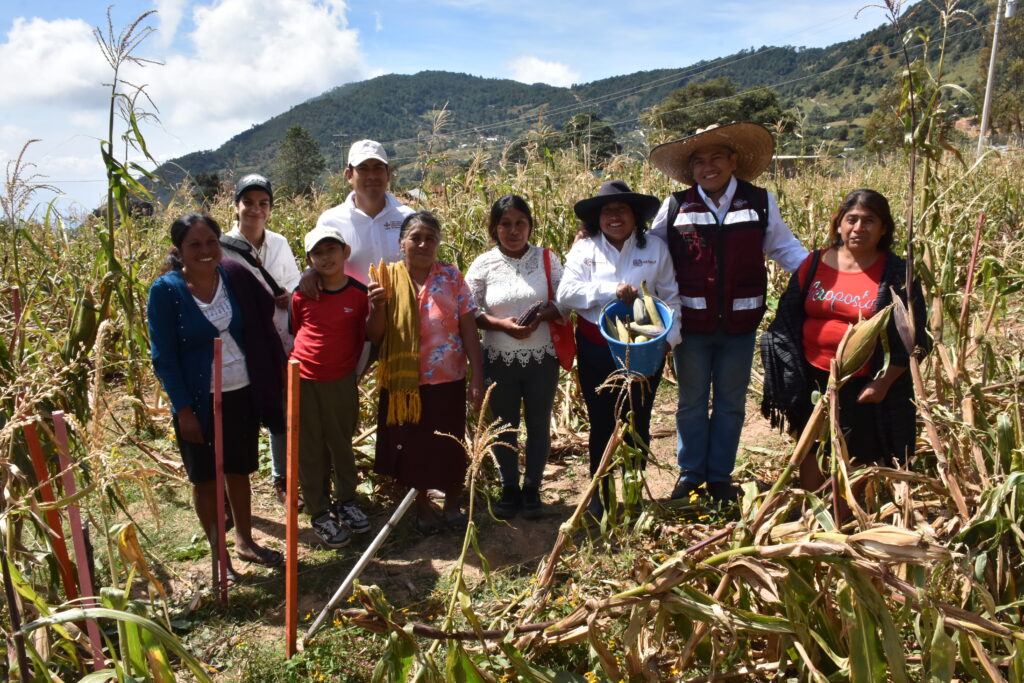 CIENCIA AGRONÓMICA PARA IMPULSAR – La transformación sostenible de los sistemas agroalimentarios en México – Comunicación LATAM/ CIMMYT