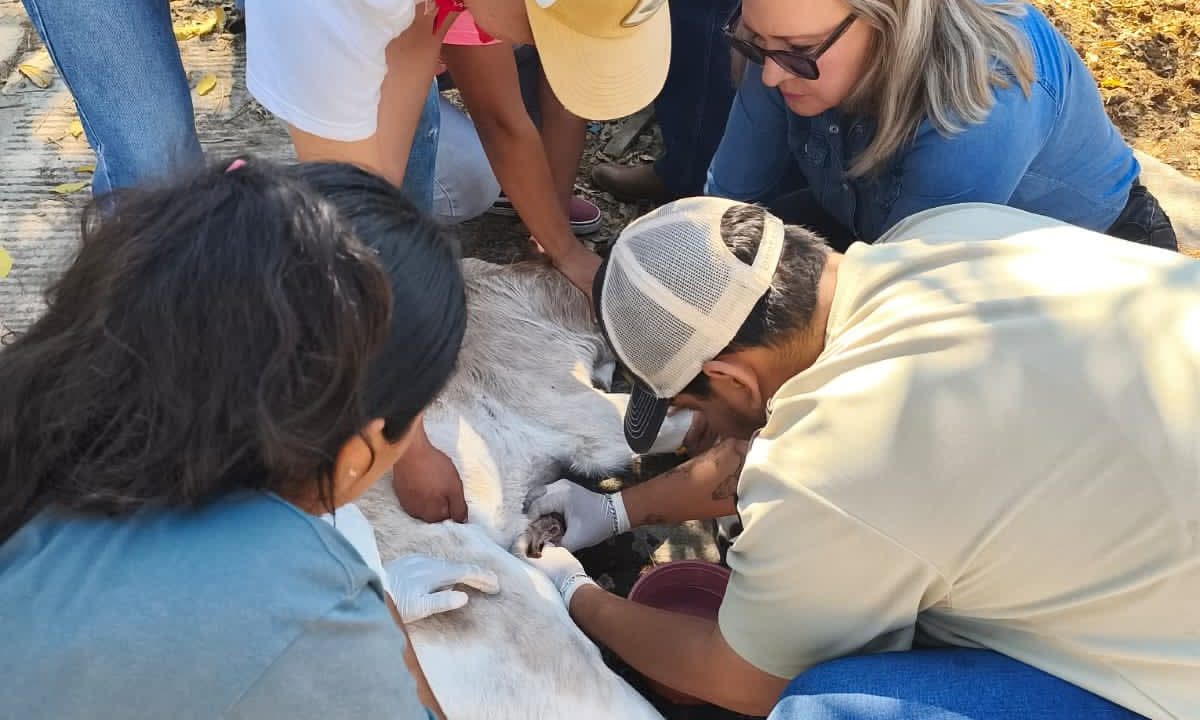HUITZUCO: SAGADEGRO Capacita en prevención del gusano barrenador