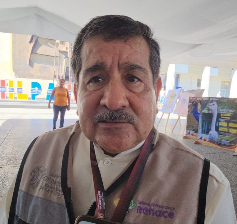 UN PROBLEMA DE SALUD PÚBLICA 90 MIL PERROS y GATOS EN CHILPANCINGO: J.A. Silva