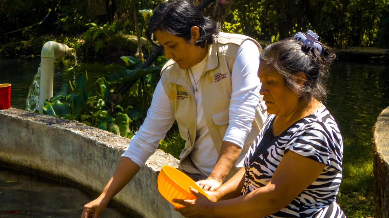 El gobierno estatal fortalece los proyectos acuícolas en comunidades de la Montaña