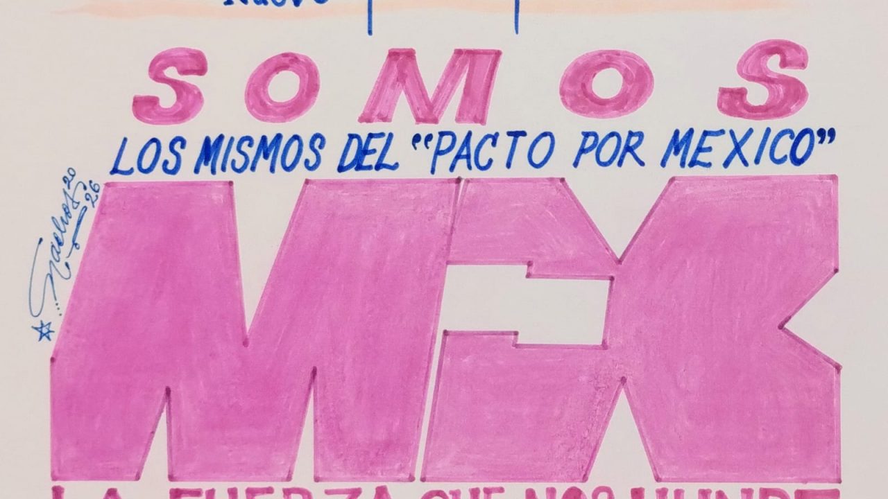 IGNACIO RENÉ HERNÁNDEZ MENESES ”Nuevo” partido político CARTONACHOS