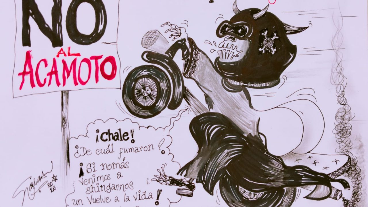 IGNACIO RENÉ HERNÁNDEZ MENESES No al Acamoto CARTONACHOS