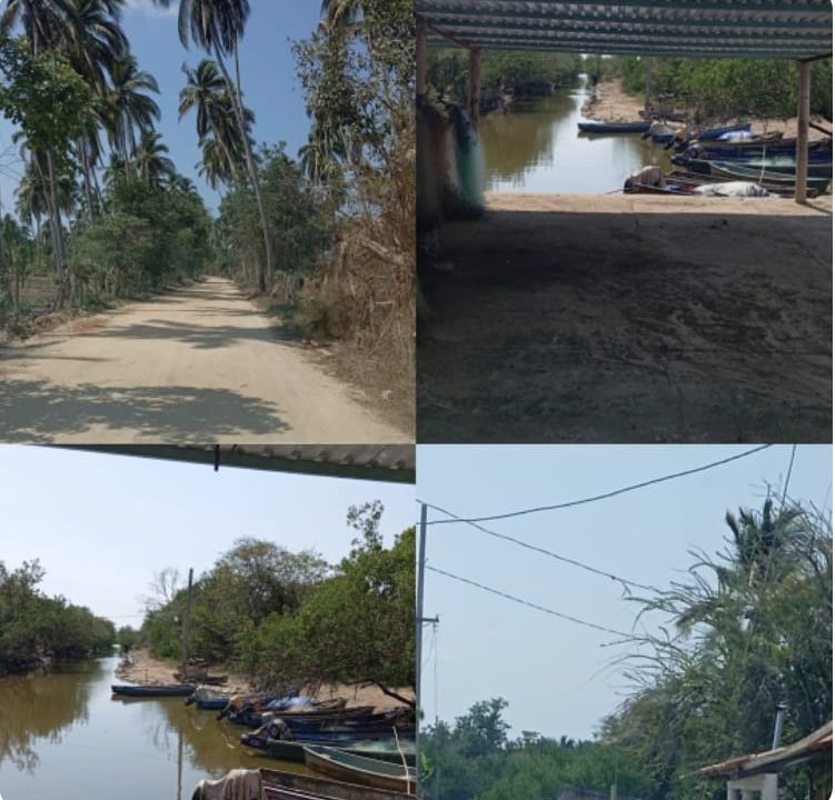 PRIORIDADES DE LA COMUNIDAD DE LA FORTUNA, DE IMPACTO AL DESARROLLO REGIONAL DE COSTA CHICA