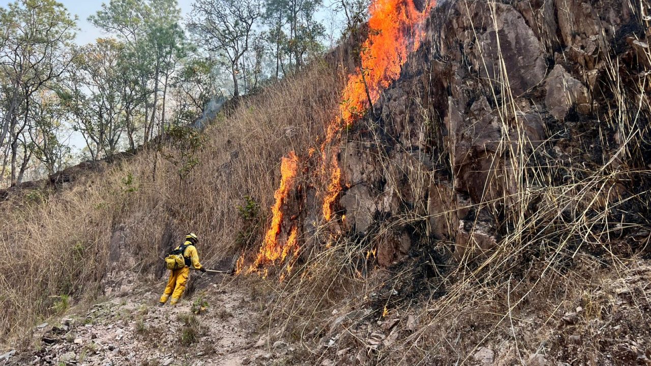 EL INCENDIO DE EL OCOTITO DEVASTA CASI 600 HECTÁREAS: PC-Chilpancingo