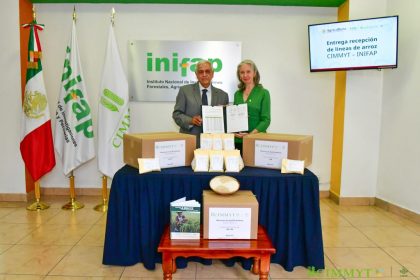 INICIO